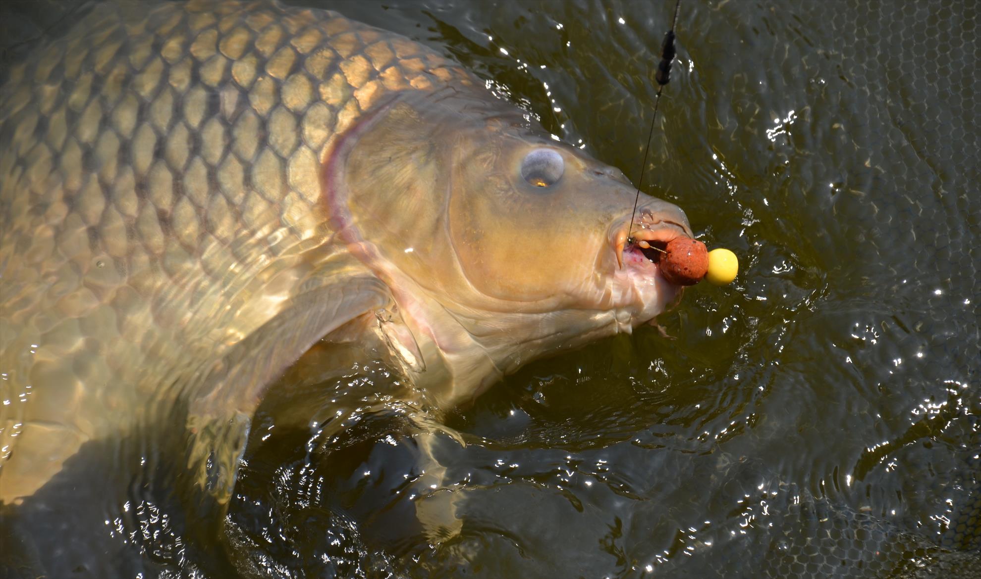 7 lucruri pe care pescarii nu le considera importante
